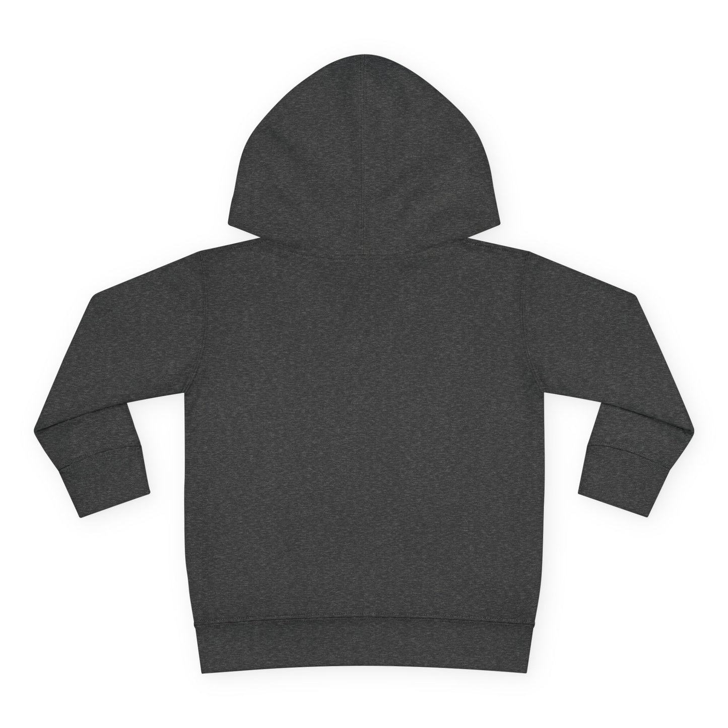 Northern Exposure Toddler Pullover Hoodie