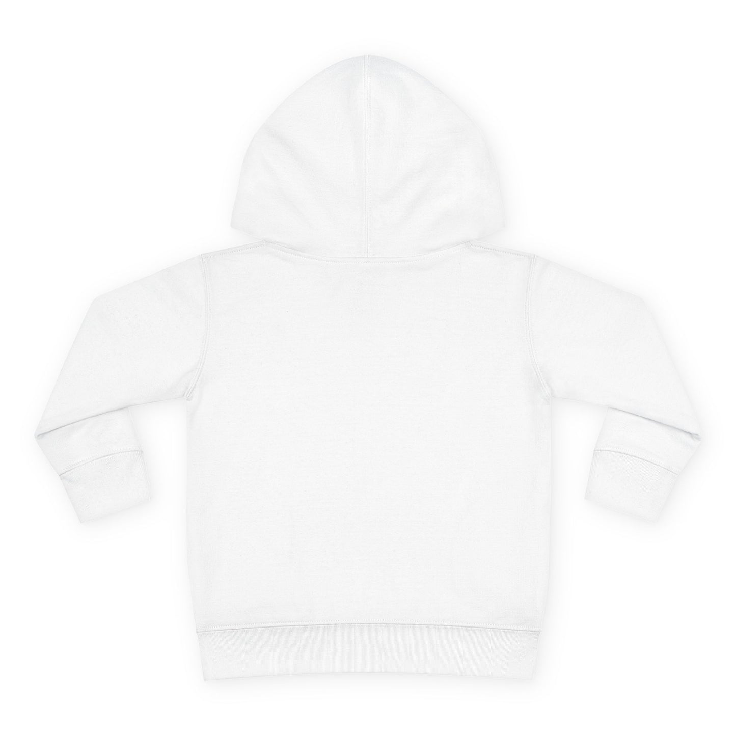 Northern Exposure Toddler Pullover Hoodie