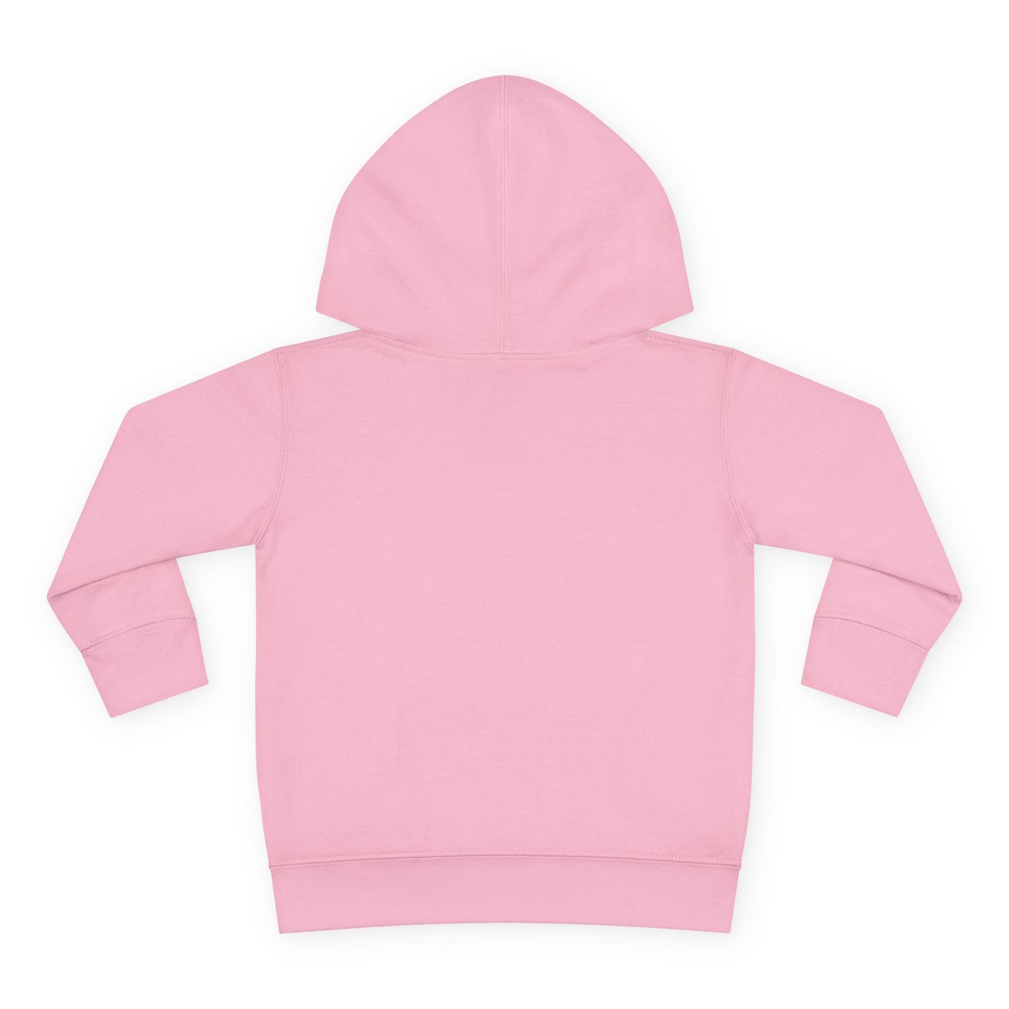 Northern Exposure Toddler Pullover Hoodie