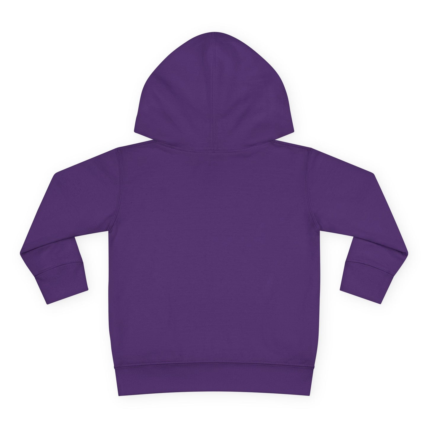 Northern Exposure Toddler Pullover Hoodie